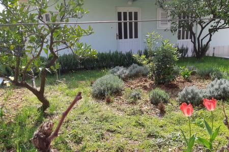 Apartament Bartol With Free Bikes And Great Local Food *