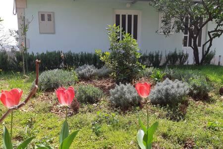 Apartament Bartol With Free Bikes And Great Local Food