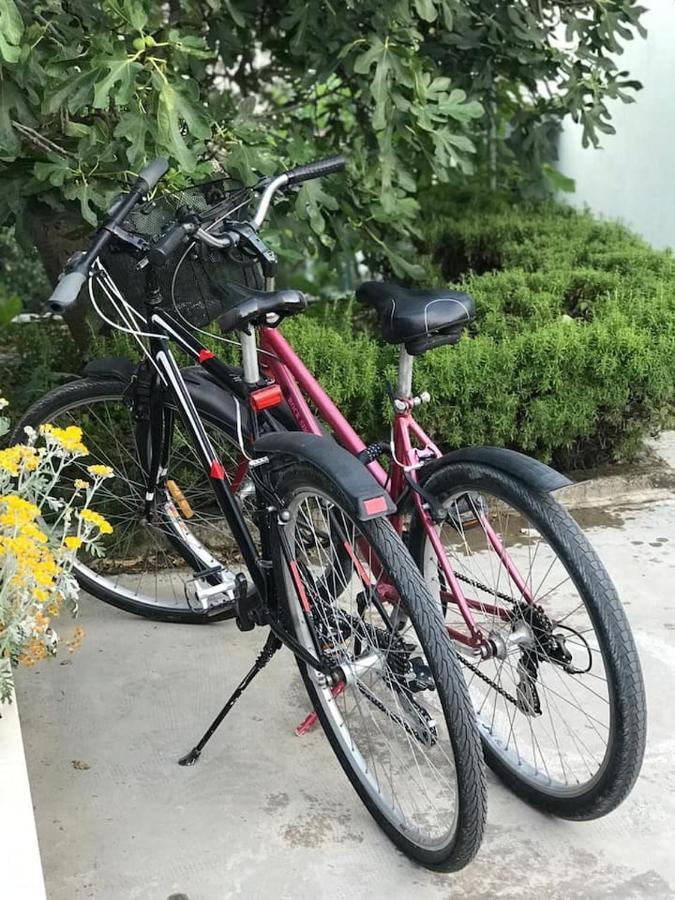 Bartol With Free Bikes And Great Local Food * Trogir